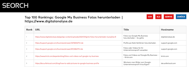 Seorch Google Ranking-Check